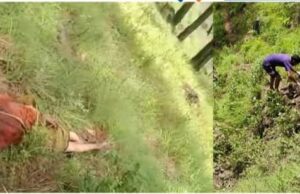 बड़ी ख़बर : घास काटते हुए चट्टानी मलवे की चपेट में आने से महिला की मौत