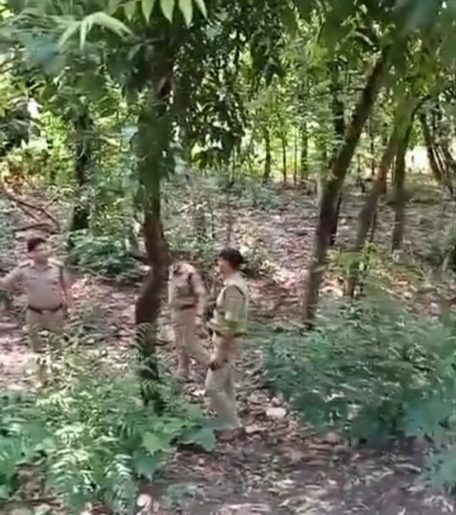 Screenshot_2025-07-07-22-40-09-83_99c04817c0de5652397fc8b56c3b3817