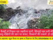 बी के टी न्यूज़: सरिया फैक्ट्री से निकल रहा जहरीला पानी, सिंचाई नहर बनी मौत का कुंआ – पशु-पक्षियों की जान पर संकट, किसानों की फसलें बर्बाद