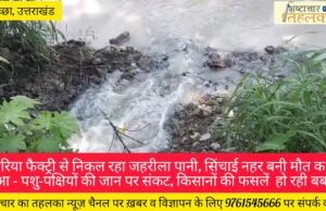 बी के टी न्यूज़: सरिया फैक्ट्री से निकल रहा जहरीला पानी, सिंचाई नहर बनी मौत का कुंआ – पशु-पक्षियों की जान पर संकट, किसानों की फसलें बर्बाद