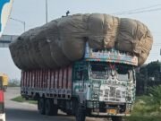 ब्रेकिंग न्यूज़: भूसी और खनन के वाहन धड़ल्ले से दौड़ रहे, परिवहन विभाग की चेकिंग सिर्फ खानापूर्ति