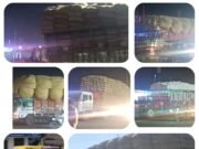 ब्रेकिंग न्यूज़ : ऊधम सिंह नगर के रुद्रपुर, किच्छा, सितारगंज में वाहन चेकिंग बनी सिर्फ: औपचारिकता