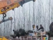 ब्रेकिंग न्यूज़: भूसी–बकास के ओवरलोड ट्रक बने मौत का सामान, परिवहन विभाग की चुप्पी पर फूटा जनाक्रोश, उधमसिंह नगर में ओवर-हाइट व ओवरलोड वाहनों पर कार्रवाई शून्य, मंडलायुक्त से की गई शिकायत, धरने की चेतावनी