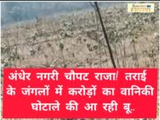 बड़ी ख़बर : अंधेर नगरी चौपट राजा! तराई के जंगलों में करोड़ों का वानिकी घोटाले की आ रही बू….