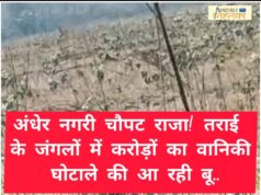 बड़ी ख़बर : अंधेर नगरी चौपट राजा! तराई के जंगलों में करोड़ों का वानिकी घोटाले की आ रही बू….