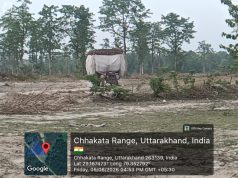 ब्रेकिंग न्यूज़ – पर्यावरण दिवस पर जंगल में चली आरी, गदगदिया रेंज में चार पेड़ों की कटाई से मचा हड़कंप, क्षेत्राधिकारी कार्यालय से कुछ ही दूरी पर पेड़ों पर चला आरा, वन विभाग की कार्यप्रणाली पर उठे सवाल