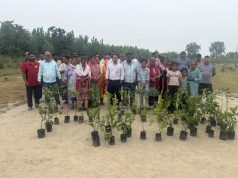 ब्रेकिंग न्यूज़ – विश्व पर्यावरण दिवस पर शांतिपुरी खनन क्षेत्र में वृहद वृक्षारोपण अभियान