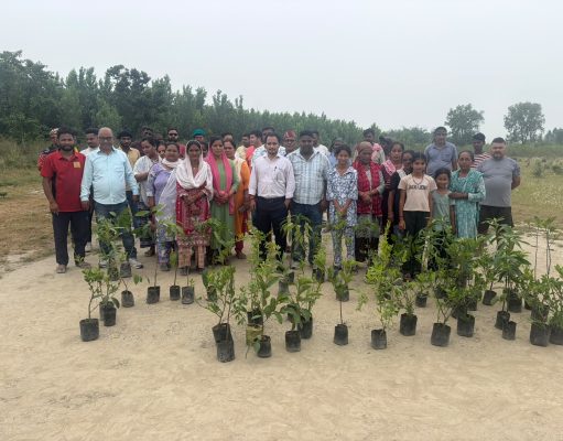 ब्रेकिंग न्यूज़ – विश्व पर्यावरण दिवस पर शांतिपुरी खनन क्षेत्र में वृहद वृक्षारोपण अभियान